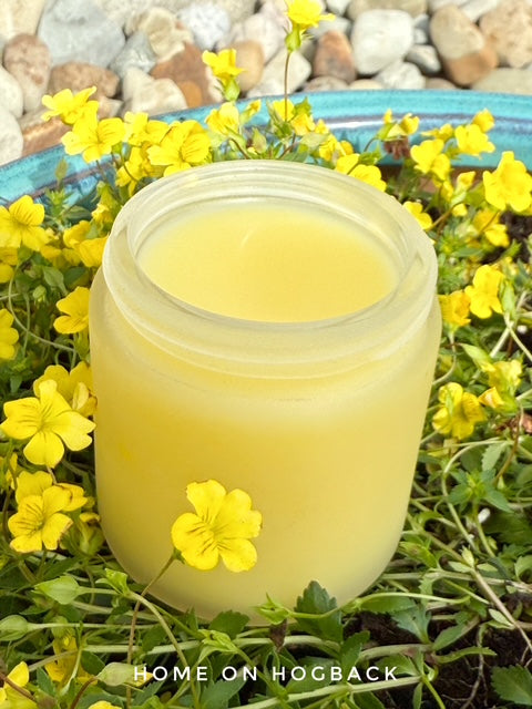 Makeup Remover